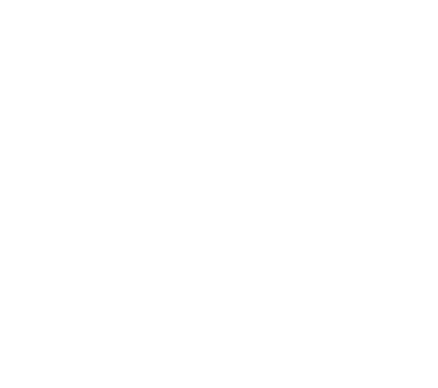 Vastu Shastra Specialist